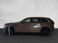 Gebraucht Mazda CX-80 Homura-Line 254 PS (186 kW) 2024 Gold SUV