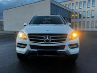 Gebraucht Mercedes ML250 204 PS (150 kW) 2011 Weiß SUV