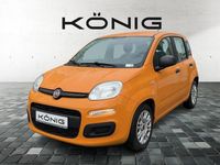 Gebraucht Fiat Panda 69 PS (50 kW) 2021 Gelb Kleinwagen