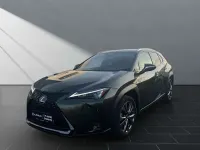 Gebraucht Lexus UX 250h Sport Line 184 PS (135 kW) 2023 Grün SUV
