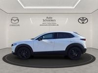 Gebraucht Mazda CX-30 Nagisa 140 PS (102 kW) 2025 Weiss SUV