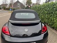 Gebraucht VW Beetle Cabriolet R-line 150 PS (110 kW) 2017 Schwarz Cabrio
