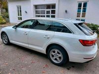 Gebraucht Audi A4 150 PS (110 kW) 2017 Weiß Kombi