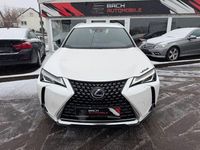 Gebraucht Lexus UX 250h 152 PS (111 kW) 2020 SUV