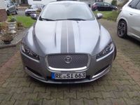 gebraucht Jaguar XF XF2.2 Diesel