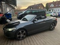 Gebraucht BMW 228 Advantage 245 PS (180 kW) 2015 Grau Cabrio
