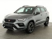 Usata Cupra Ateca Basis 190 CV (139 kW) 2026 Grigio SUV