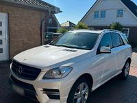 Gebraucht Mercedes ML350 258 PS (189 kW) 2013 Weiß SUV