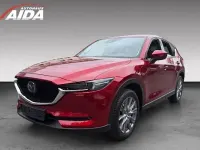 Gebraucht Mazda CX-5 Sports-Line 194 PS (142 kW) 2019 Rot SUV