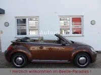Brugt VW Beetle 105 HK (77 kW) 2016 Brun Hatchback