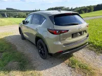 Gebraucht Mazda CX-5 Homura-Line 184 PS (135 kW) 2023 Beige SUV