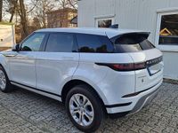 Gebraucht Land Rover Range Rover evoque S 150 PS (110 kW) 2020 Weiß SUV