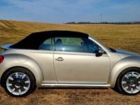 Gebraucht VW Beetle Design 105 PS (77 kW) 2013 Beige Kleinwagen
