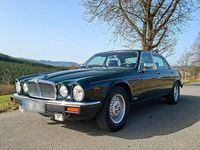 Gebraucht Jaguar XJ12 264 PS (194 kW) 1992 Grün Limousine