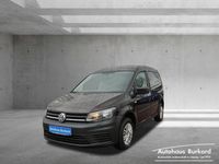 Gebraucht VW Caddy Trendline 102 PS (75 kW) 2020 Black berry metallic Van / Kleinbus