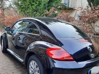 gebraucht VW Beetle 1.2 TSI - LIEBHABER-FAHRZEUG SCHECKHEFTGEPFLEGT