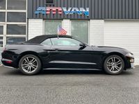 gebraucht Ford Mustang Cabrio 2.3 Premium Paket Leder 10-Gang