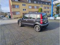 Gebraucht Fiat Panda Dynamic 60 PS (44 kW) 2009 Carbon schwarz Kleinwagen