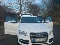 Gebraucht Audi SQ5 313 PS (230 kW) 2013 Weiß SUV