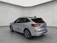 Gebraucht Ford Kuga ST-Line X 151 PS (111 kW) 2024 Silber SUV
