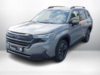 Nouvelle Subaru Forester Active 136 ch (100 kW) 2026 Gris SUV