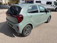 Neu Kia Picanto Vision 68 PS (50 kW) 2026 Grün Kleinwagen