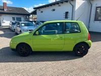 Gebraucht VW Lupo Trendline 75 PS (55 kW) 1999 Grün Kleinwagen