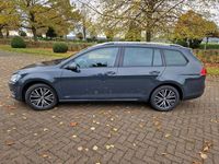 Gebraucht VW Golf VII Allstar 150 PS (110 kW) 2016 Grau Kombi
