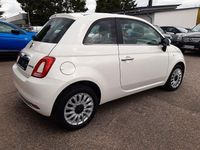 Gebraucht Fiat 500 Dolcevita 71 PS (52 kW) 2024 Weiß