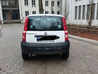 Gebraucht Fiat Panda 69 PS (50 kW) 2012 Weiß Kleinwagen