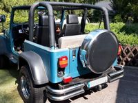 Gebraucht Jeep Wrangler 121 PS (88 kW) 1995 Blau SUV