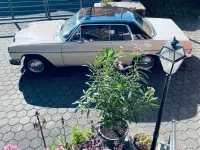 Gebraucht Mercedes W114 150 PS (110 kW) 1971 Beige Coupé