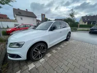 Gebraucht Audi SQ5 340 PS (250 kW) 2016 Weiß SUV