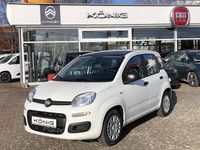 Neu Fiat Panda 69 PS (50 kW) 2026 Schwarz Kleinwagen