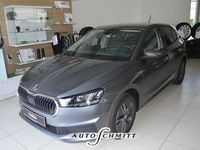 Gebraucht Skoda Fabia 95 PS (69 kW) 2022 Graphitegrau metallic