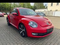 gebraucht VW Beetle Design, 1. Hand, Scheckheft gepflegt