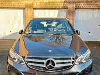 Gebraucht Mercedes E250 AMG 211 PS (155 kW) 2015 Grau Kombi