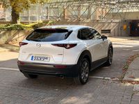 Gebraucht Mazda CX-30 Edition 150 PS (110 kW) 2021 Weiß SUV