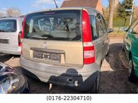 Gebraucht Fiat Panda Active 54 PS (39 kW) 2009 Beige Kleinwagen