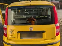 Gebraucht Fiat Panda 60 PS (44 kW) 2010 Gelb Kleinwagen