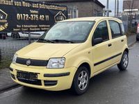 Gebraucht Fiat Panda Active 54 PS (39 kW) 2009 Kleinwagen