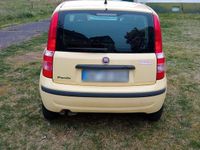Gebraucht Fiat Panda 54 PS (39 kW) 2009 Gelb Kleinwagen