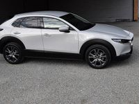 Gebraucht Mazda CX-30 Exclusive-Line 186 PS (136 kW) 2026 SUV