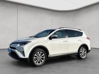 Gebraucht Toyota RAV4 Executive 152 PS (111 kW) 2016 Weiß SUV