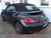 Gebraucht VW Beetle Allstar 150 PS (110 kW) 2017 Schwarz Kleinwagen