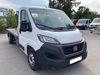 Gebraucht Fiat Ducato 180 PS (132 kW) 2023 Weiss Van