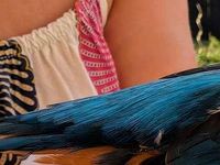 Gebraucht Mazda 3 Urban Limited 120 PS (88 kW) 2016 Jet black Limousine