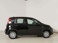 Gebraucht Fiat Panda 69 PS (50 kW) 2024 Schwarz Kleinwagen