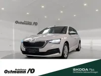 Gebraucht Skoda Scala Active 95 PS (69 kW) 2022 Weiß Kleinwagen