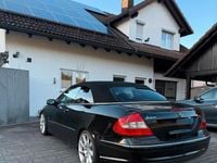 Gebraucht Mercedes CLK280 231 PS (169 kW) 2007 Schwarz Cabrio